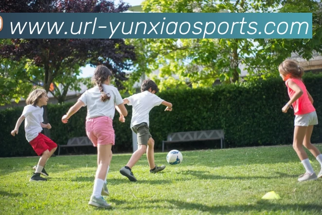 App Interface Preview