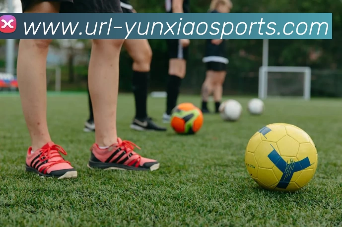 云霄体育APP 封面图